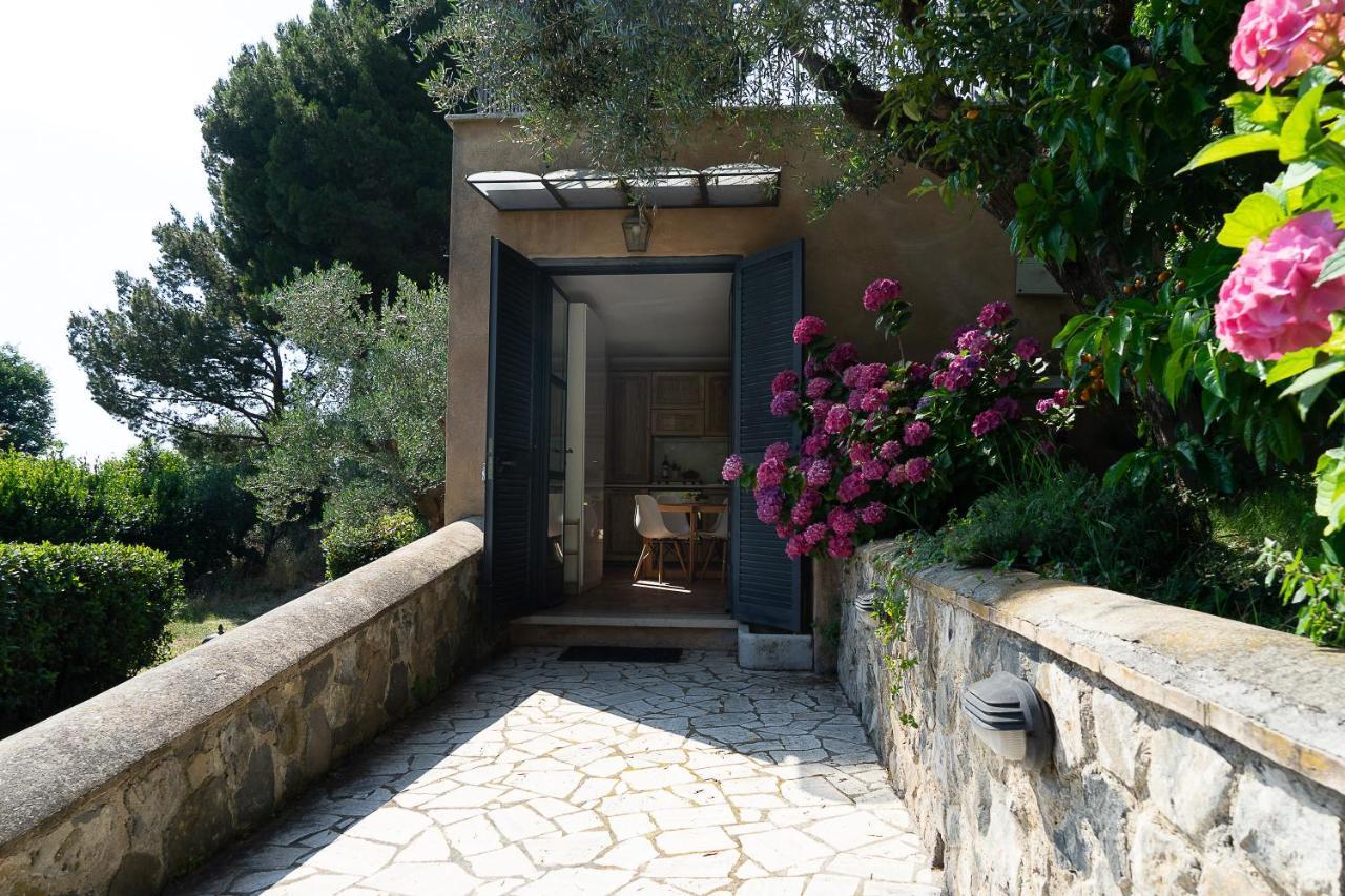 Frascati Country House グロッタフェッラータ エクステリア 写真